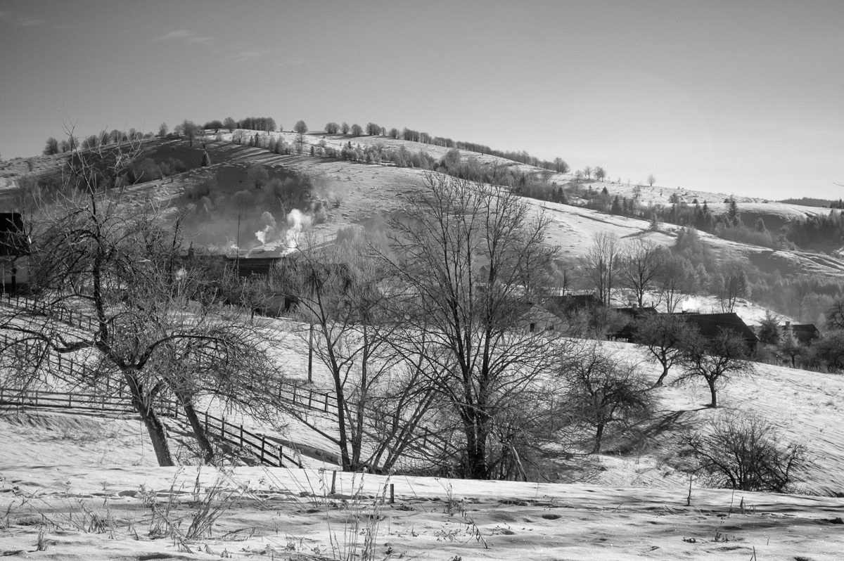004_DSC_5966