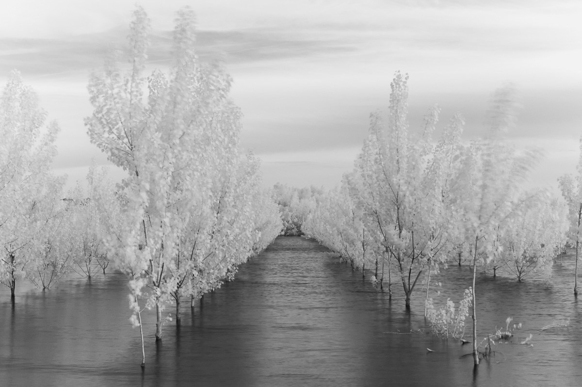 flood