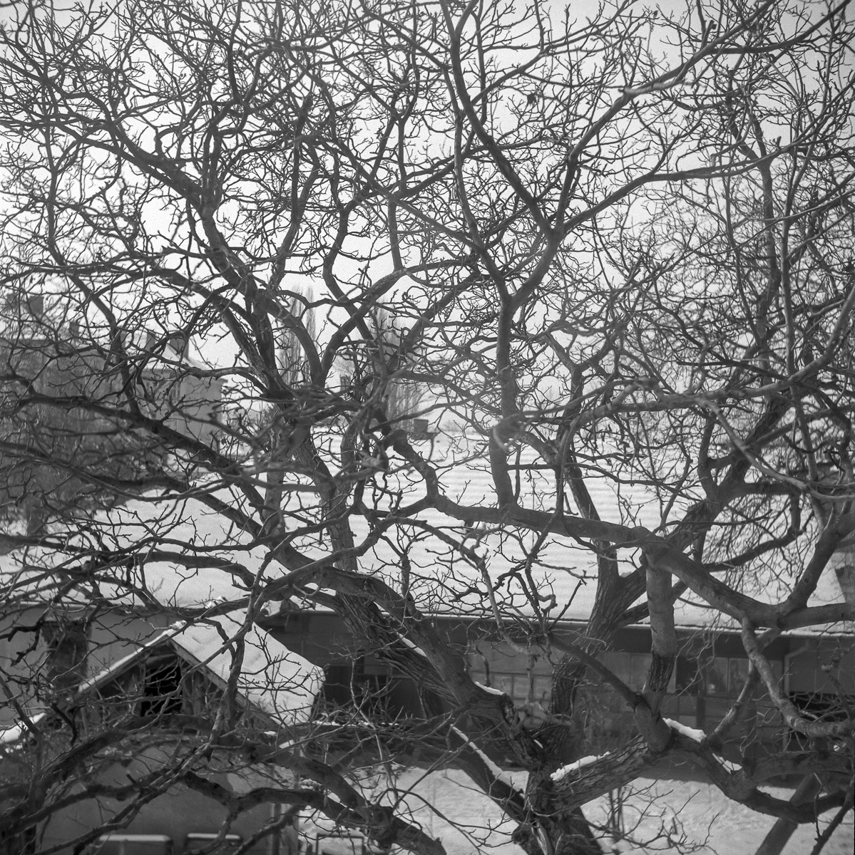 school in winter