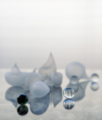 008_OT8A6123