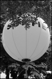 012_OT8A4308