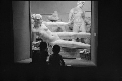 019_OT8A2489 019_OT8A2489