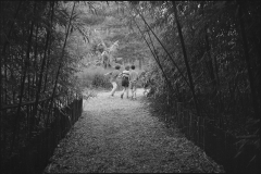 030_OT8A7225