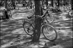 033_OT8A4238
