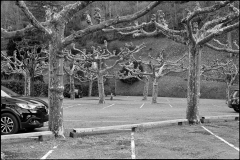 034_OT8A2473