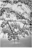 042_OT8A8282