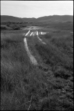 044_OT8A2590