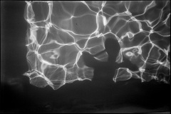003_OT8A0320 003_OT8A0320