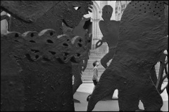 005_OT8A1796 005_OT8A1796