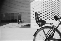 001_OT8A4411 001_OT8A4411