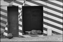 008_OT8A1801 008_OT8A1801