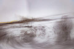 001_IMG_6582