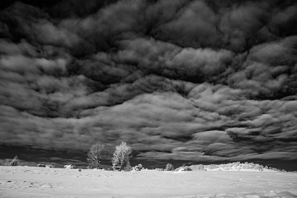 008_DSC_1363