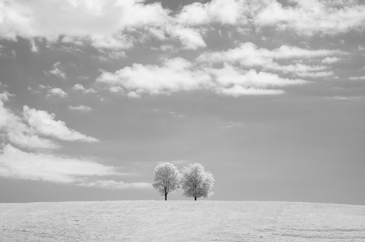 009_DSC_8856-Enhanced-NR