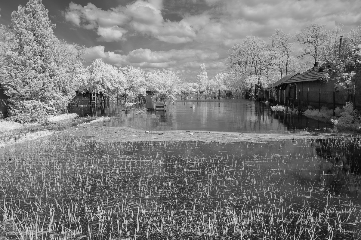 016_DSC_6581-Enhanced-NR