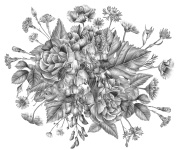 003_illustration-finale-montlabert