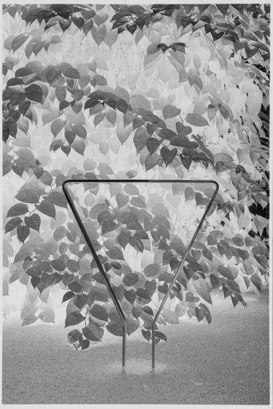 001_OT8A8282