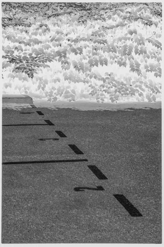 002_OT8A8287