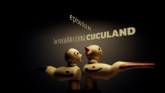 051_Cuculand-2-0-00-06-15