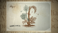 057_Montlabert-Complete-0-00-46-20