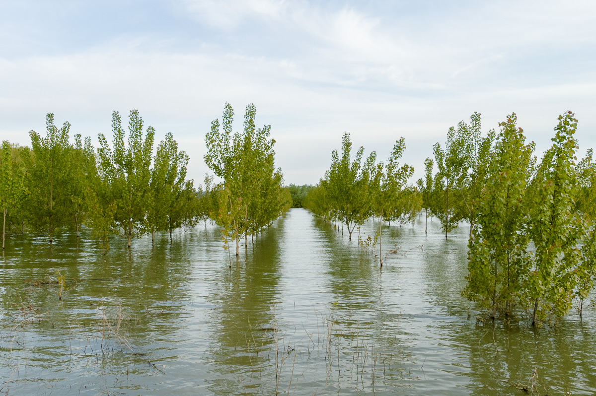 floods