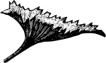 leaf 3