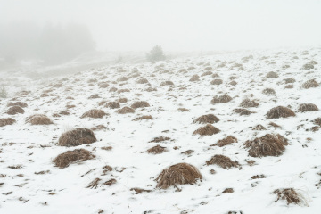 001_DSC_1229