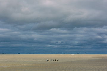 008_OT8A3875