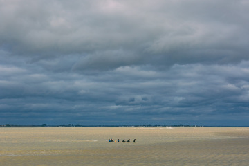 008_OT8A3875