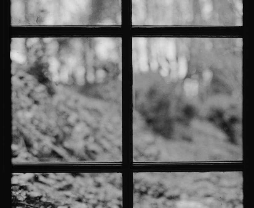 the window behind